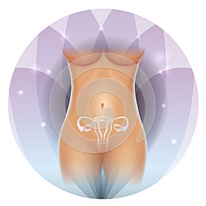 Uterus and ovaries beautiful flower icon photo