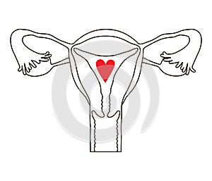 Female Reproductive System. Gynecology Icon