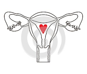Female Reproductive System. Gynecology Icon photo