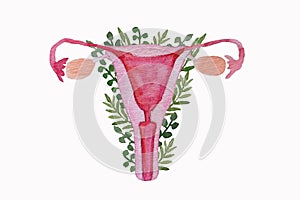 Female reproductive system. Uterus, cervix, ovaries, vagina. Feminism, female nature. Watercolor illustration
