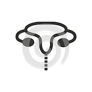 female reproductive system. Vector illustration decorative design