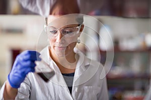 Female researcher carrying out scientific research in a lab