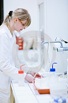 Female researcher in a chemistry lab