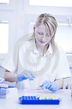 Female researcher doing research in a lab