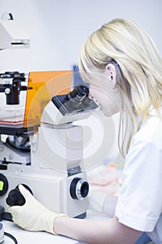 Female researcher doing research in a lab