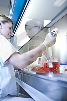 Female researcher doing research in a lab