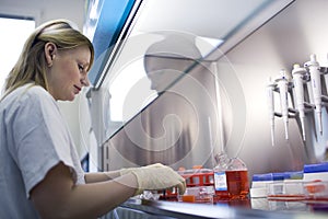 Female researcher doing research in a lab