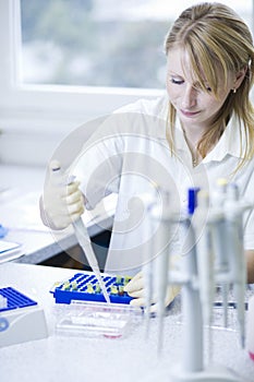 Female researcher doing research in a lab