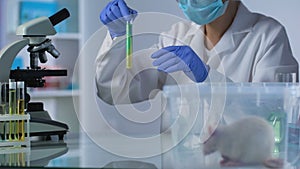 Female researcher mixing chemical liquids in tube, testing cosmetics on rats