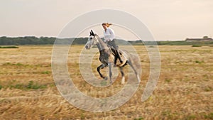 female rider rides on horseback across the field. Sunset, summer, outdoor. Active lifestyle. Sports training, horse