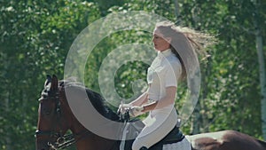 Female rider in the saddle. The horse goes passage. Horse galloping.