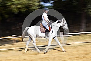 Female rider trains the horse