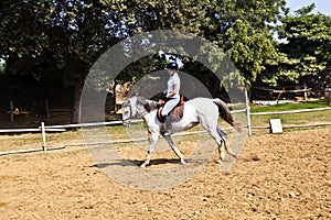 Female rider trains the horse