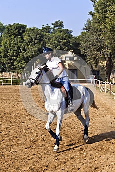 Female rider trains the horse