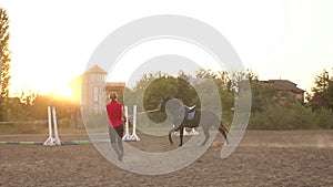 Female rider trains a horse at a racetrack.