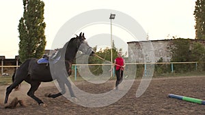 Female rider trains a horse at a racetrack.