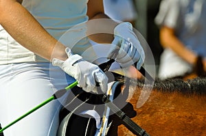 Female riders hands holding reins