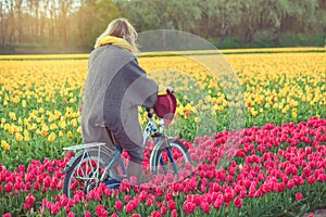 Female riding her bike through tulip fields