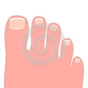 Female right foot cartoon vector illustration