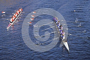 Female Rowing Race