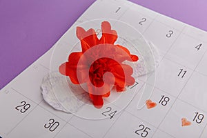 Female's menstrual cycle and hygiene concept. Menstrual calendar with sanitary pad and red flower