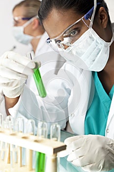 Female Scientific Research Team In Laboratory