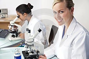 Female Scientific Research Team in a Laboratory