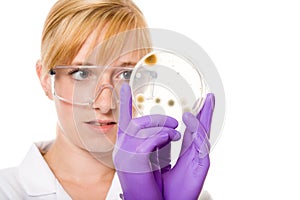 Female scientisc checks petri dish with agar jelly