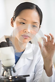 Female Scientist Analyzing Sample In Laboratory
