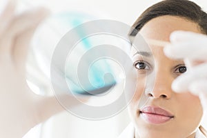 Female Scientist Analyzing Solution In Petri Dish At Laboratory