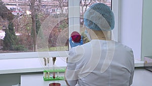 A female scientist conducts research using a micro-pipette in the laboratory. Biotechnologies.