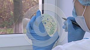 A female scientist conducts research using a micro-pipette in the laboratory. Biotechnologies.