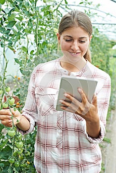 Female Scientist With Digital Tablet In Greenhouse Researching T