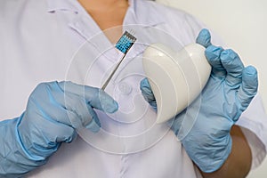 female scientist, doctor holding heart model, microprocessor, microchip, biochip tweezers for immunocytochemical studies heart,