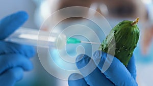 Female scientist injecting cucumber with reagent to see genetic modification