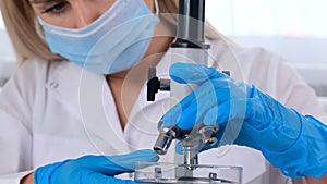 Female scientist laboratory assistant looks at a petri dish with genetically modified samples of chemicals under a