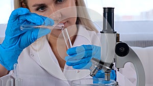 female scientist laboratory assistant uses micropipettes to fill test tubes in a large modern laboratory, for