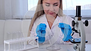 female scientist laboratory assistant uses micropipettes to fill test tubes in a large modern laboratory, for