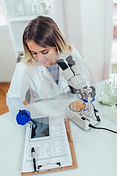 Female scientist looking corn for genetic modification research