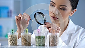 Female scientist looking at pea grain through magnifying glass, food inspection