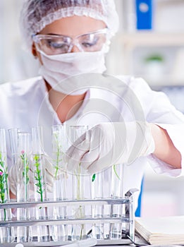 Female scientist researcher conducting an experiment in a labora