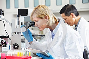 Female Scientist Using Tablet Computer In Laboratory