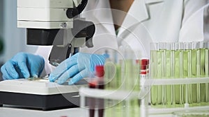 Female scientist viewing bacteria sample on microscope, biochemical research