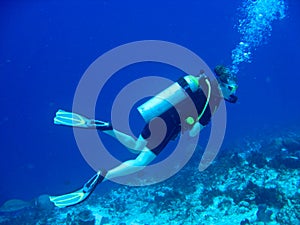 Female Scuba Diver photo