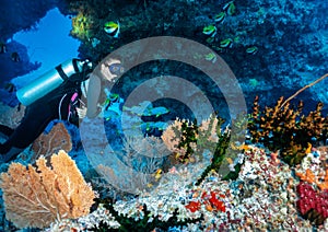 Female scuba diver explores a coral reef in the Indian Ocean, Maldives