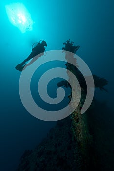 Female scuba diver exploring ship wreck