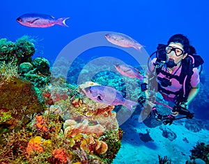 Female Scuba Diver with fish over Coral Reef