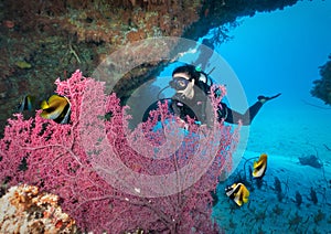 Female scuba diver in the Indian Ocean, Maldives photo