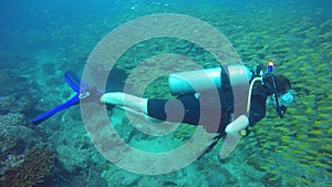 Female scubadiver and a shoal of fish