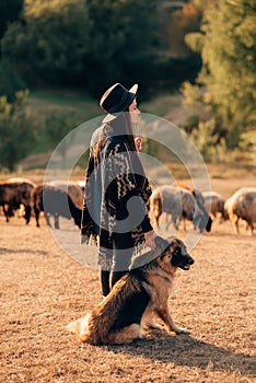 Female shepherd with a dog grazes a flock on the lawn